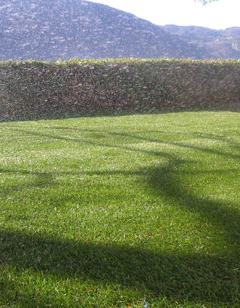 MANUTENZIONE-GIARDINO